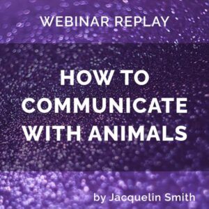 Webinar Replay: How to Communicate with Animals
